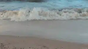 Kathleen’s Vacation Place: The Perfect Budget Stay Near Panagsama Beach