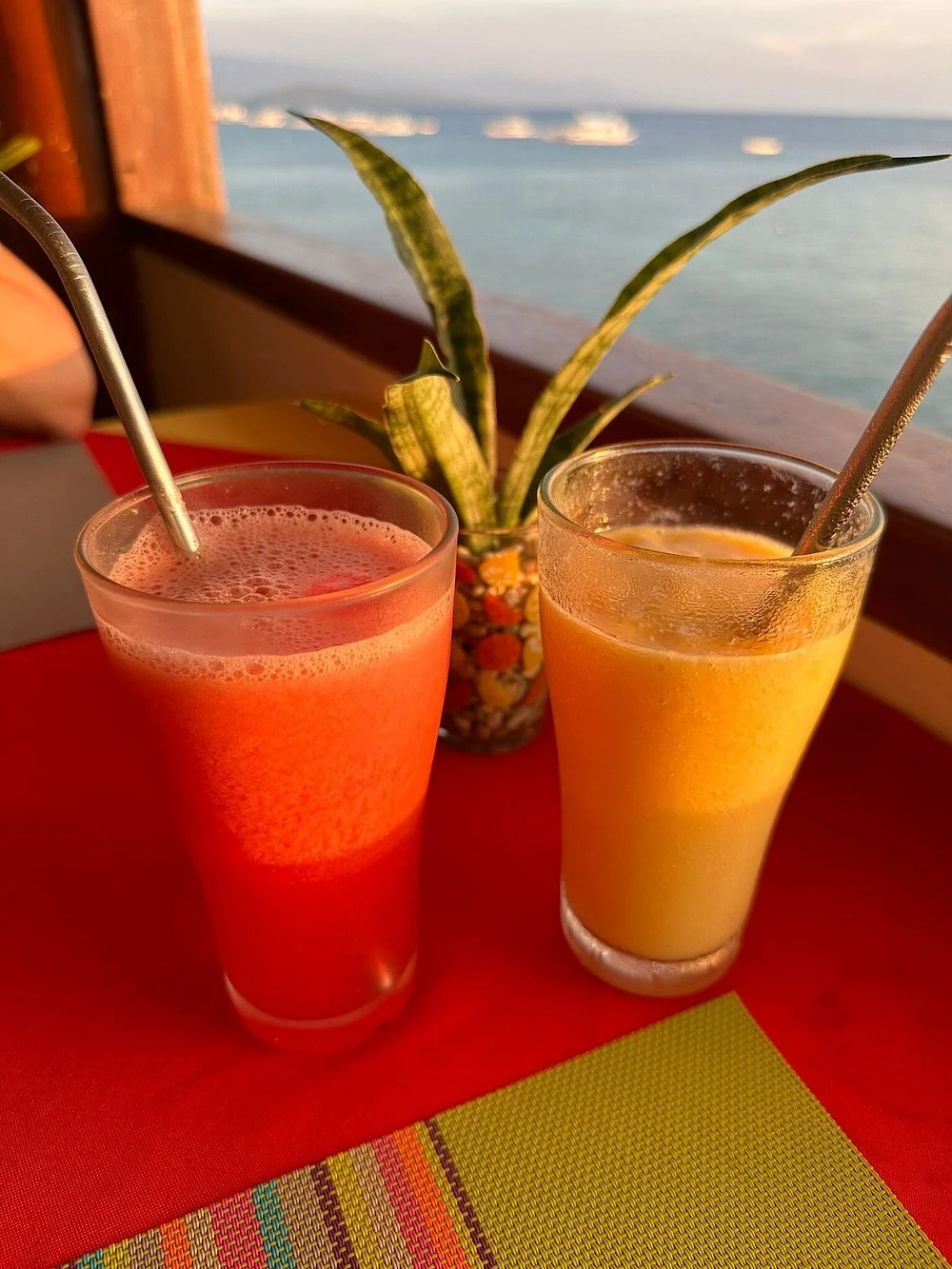 Family-Friendly Dining in Moalboal: Experience Arista Restaurant